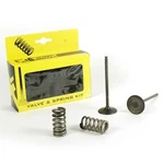 Pro X Intake Valve & Spring Kit For Husaberg FE250 2014. Fixed Price $189.78.