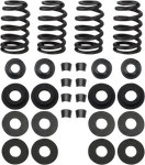 & Cycle Dual Valve Spring Kit 900-0593. Fixed Price $163.95.