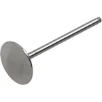 Del West Intake Valve DW-KX250FIV09ND. Fixed Price $143.52.
