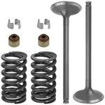 12005-0002 49078-0003 92049-1349 12011-1053 Exhaust Valve Kit For Kawasaki. Fixed Price $30.99.