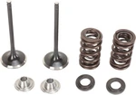 Moose Intake Valve/spring Kit Steel Fits Kawasaki KX450F 2009-2015. Fixed Price $196.95.