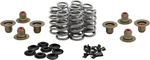 Kibblewhite Precision High-performance Ovate Wire Beehive Valve Spring 20-24400. Fixed Price $413.92.