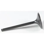 Kpmi Black Diamond Intake Valve 40-40312. Fixed Price $35.74.