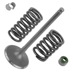 Caltric 14711-HN7-000 14761-HN7-000 14781-HA0-770 Intake Valve Kit For Honda. Fixed Price $41.38.