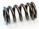 Spi-sport Part XU-09528IS Psychic Intake Valve Spring. Fixed Price $18.82.