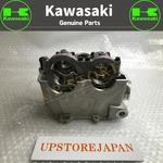 Kawasaki Genuine KX250F 2009 Cylinder Head 11008-0191 Oempart. Fixed Price $540.53.