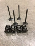 Oem 2008 2009 Ktm Intake Exhaust Valves Springs 450XC Atv Stock. Fixed Price $180.00.