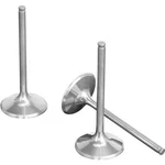 Wiseco - VIT032 Titanium Intake Valve. Fixed Price $156.99.