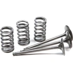 Pro X Steel Intake Valve And Spring Kit 28.SIS2424-2. Fixed Price $191.99.