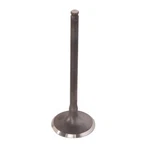 Pro X 28.6351-2 Titanium Intake Valve. Fixed Price $71.99.