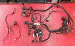 Oem 02-03 Kawasaki ZX9R ZX900F Main Wire Harness 26030-1925. Fixed Price $159.99.
