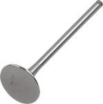 Del West Titanium Engine Valve DWCRF250REV10ND. Fixed Price $155.52.
