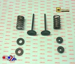 Valve Kit Exhaust CRF450R, Psychic XU-09546EK 13-20. Fixed Price $136.36.