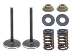 Psychic Products XU-09562IK Exhaust Valve Kit. Fixed Price $62.40.