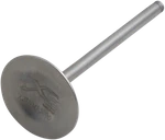 Xceldyne X2TIVM13000 Titanium Intake Valve TRX450R Top End Engine Parts. Fixed Price $110.96.