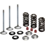 Kibblewhite Valve Spring Kit 80-80950. Fixed Price $237.70.