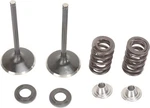 Moose Exhaust Valve/spring Kit Fits Kawasaki KX250F 2004-2016. Fixed Price $196.95.