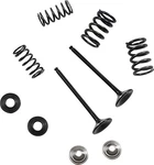 Moose Exhaust Valve Kit Fits Yamaha YZ250F 4-STROKE 2019-2020. Fixed Price $196.95.