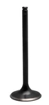 Kibblewhite Black Diamond Valve 31MM Exhaust 96-96008. Fixed Price $36.42.