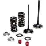 Moose Racing 0926-2436 Valve Exhaust Kit. Fixed Price $196.95.