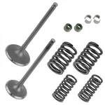Valve Intake & Exhaust W/ Gaskets Kit For Honda Rancher TRX420 Fe Te Fm Tm 07-08. Fixed Price $53.99.