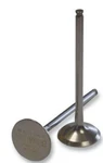 Del West Titanium Intake Valve Fits Suzuki LT-R450 Quadracer DWLTR450IV11HFP. Fixed Price $136.76.
