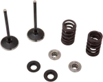 Moose Offroad Intake Valve And Spring Kit 0926-3192. Fixed Price $196.95.
