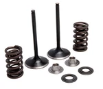 Kawasaki KX450F Kibblewhite Kpmi Intake Spring & Valve Kit Titanium 40-40380. Fixed Price $160.20.
