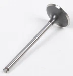Replacement Pro X Steel Engine Valves 28.1226-2. Fixed Price $21.80.