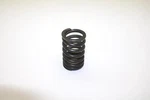 Honda Oem Outer Valve Spring 14751-383-003 Q4331. Fixed Price $9.99.