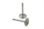Stainless Steel Intake Valve For Harley-davidson. Fixed Price $77.99.