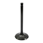 Bronco Intake Valve Kawaski AU-09022I. Fixed Price $12.34.