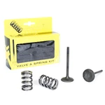 Pro X Steel Valves And Spring Kits 28.SES3408-1. Fixed Price $129.56.