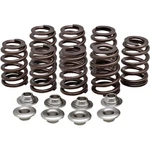 Kibblewhite High-performance Ovate Wire Beehive Valve Spring Kit 20-21200. Fixed Price $374.52.