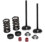 Kibblewhite Intake Only Stainless Conversion Kits 30-32440. Fixed Price $252.99.