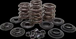 Kibblewhite 20-20450 Valve Spring KIT.600"LIFT. Fixed Price $131.19.