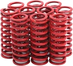 Kibblewhite Heavy-duty Clutch Spring Set 20-0789. Fixed Price $62.99.