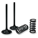 Pro-x Valve And Spring Kit 28SIS24442. Fixed Price $139.97.