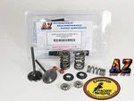 06+ Honda 450ER Kibblewhite Azqp +1 Intake Valves Springs Seals. Fixed Price $159.98.