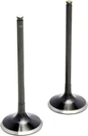 Kibblewhite Black Diamond Intake Valve Standard 20-20055. Fixed Price $28.92.