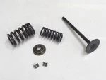 1992-2006 Kawasaki Concours Zg 1000 Engine Intake Valve Springs 12004-1119. Fixed Price $39.99.
