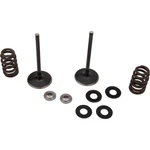 Moose Intake Valve Kit 0926-3196. Fixed Price $217.95.