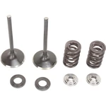 Moose Offroad Intake Valve Kit 0926-2448. Fixed Price $196.95.