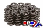 Spring Valve SET/16 Yamaha Fj, 1100/1200 1984-1993, Kibblewhite 80-1017, Road. Fixed Price $178.05.
