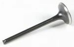 Kpmi Black Diamond Exhaust Valve 20-21018. Fixed Price $52.99.