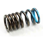 Psychic Exhaust Valve Springs XU-09529IS. Fixed Price $10.39.