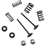 Moose Offroad Valve And Spring Kit 0926-3193. Fixed Price $196.95.