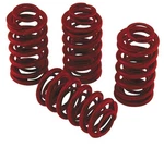 Andrews High-lift Valve Springs #294150 Harley Davidson. Fixed Price $66.85.