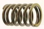 Qty 2000-2006 Honda TRX350 Rancher Oem Engine Valve Spring 14751-HN0-A00. Fixed Price $24.99.