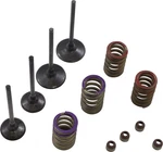 Wiseco - SVKB4336 Valve Kit For Kawasaki Kx 250. Fixed Price $310.46.